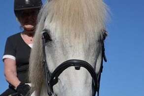 Anglesey Riding Centre