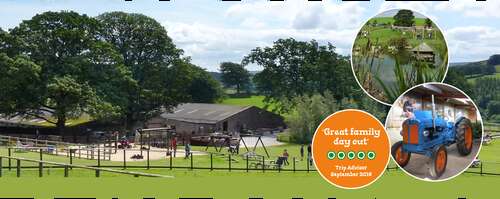 Hesketh Farm Petting Zoo