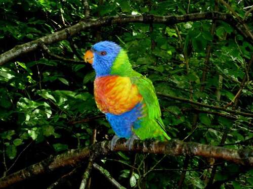 Bristol Zoo Gardens - Bristol