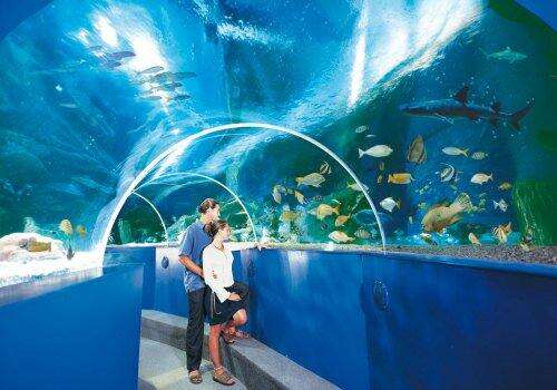 Blue Reef Aquarium Newquay