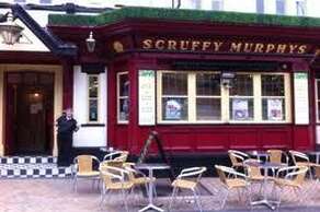 Scruffy Murphys