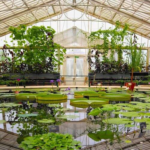 Kew Gardens - London