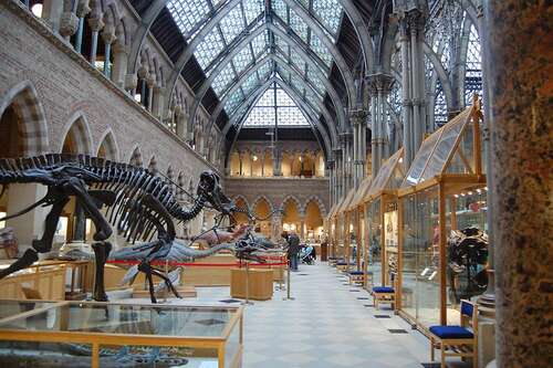 The Oxford University Museum
