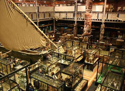 The Pitt Rivers Museum