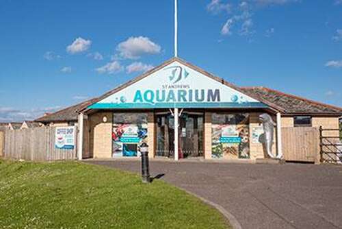 St Andrews Aquarium
