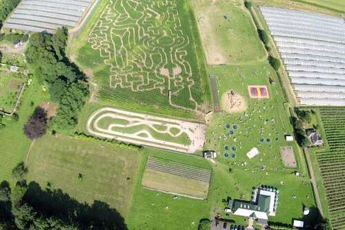 Cairnie Fruit Farm & Mega Maze