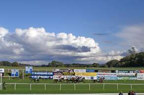 Sports and Wellbeing