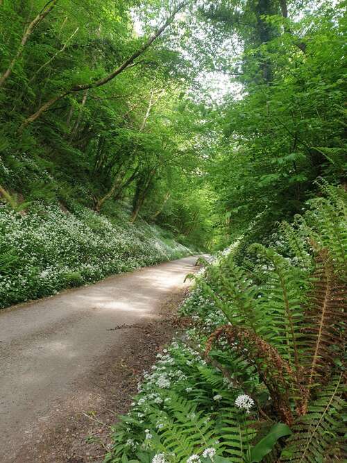 CYCLE & WALKING ROUTES