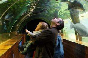 Aquarium of the Lakes - Windermere