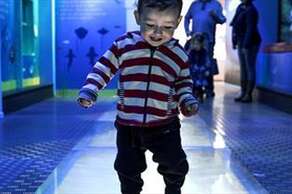 National Marine Aquarium