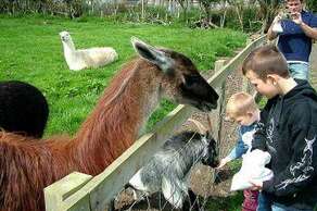 Monk Park Farm – 3 miles