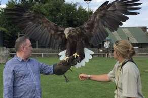 Falconry UK, Sion Hall – 4.5 miles