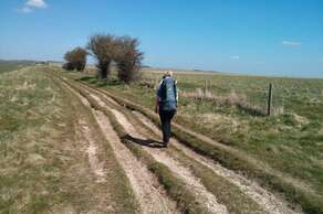 The Ridgeway Walk