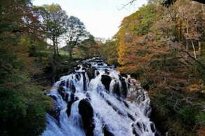 Swallow Falls Waterfall