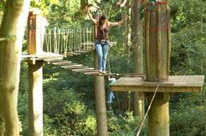 Go Ape – Wyre Forest
