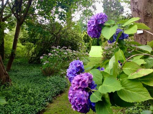 Hergest Croft Gardens