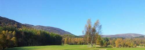 Walking and Climbing