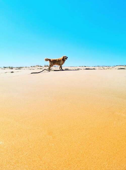 Dornoch & Embo Beaches with Sand Art and Playpark