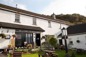 The Tingle Creek Hotel