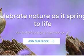 RSPB - Frampton Marsh