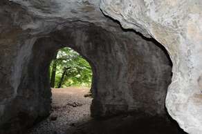 King Arthurs Cave & The Biblins Nature reserve