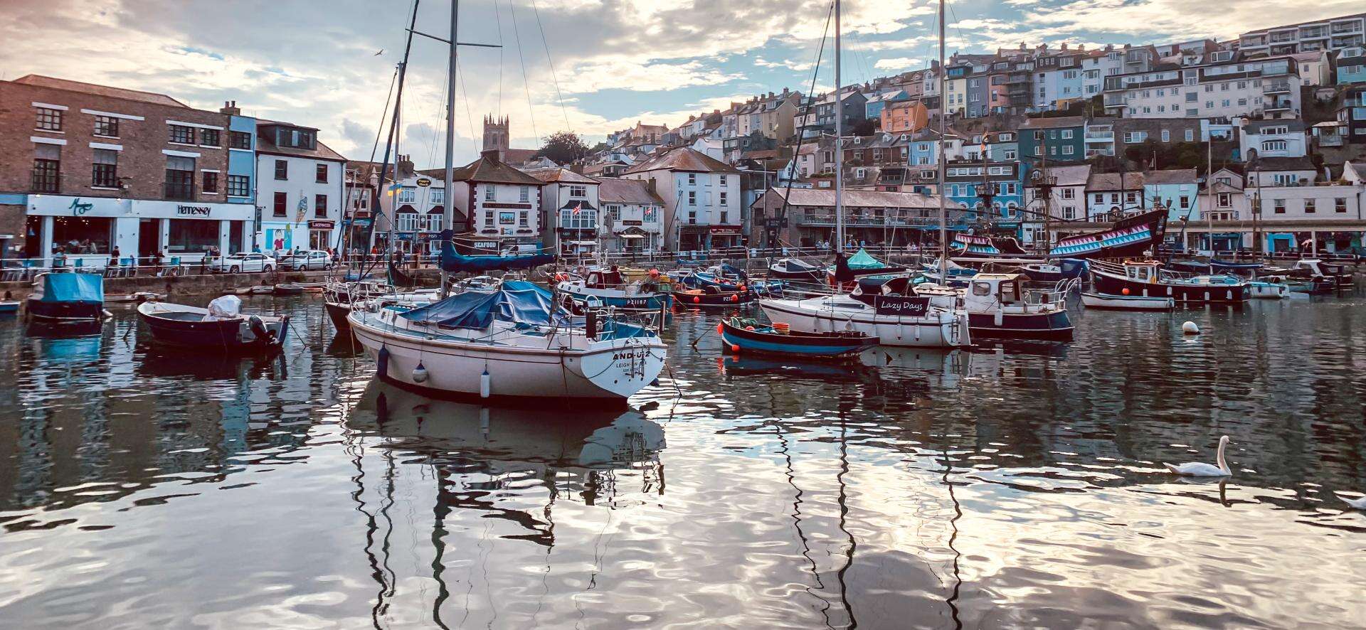 Driftwood B&B in Brixham, United Kingdom