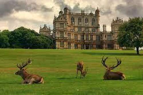 Wollaton Hall /2mi/