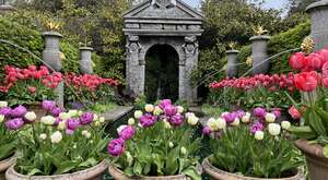 A day out at the Tulip Festival at Arundel Castle