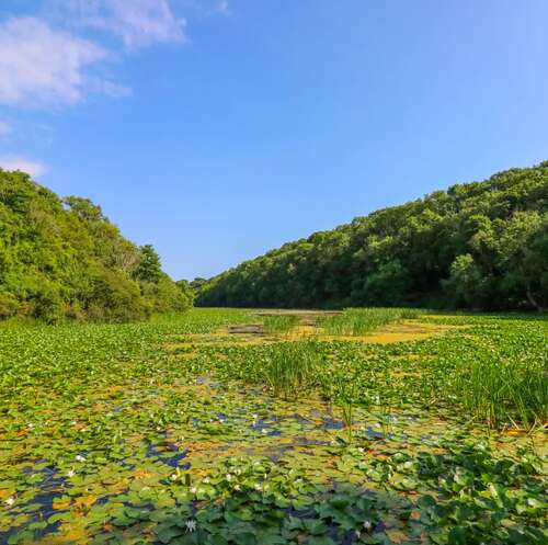 So many Beautiful Walks