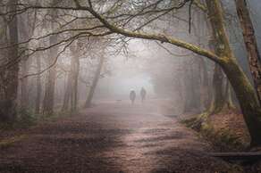 Tunbridge Wells Common