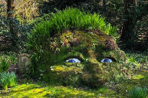 2 Mile From Tremarne - The Lost Gardens of Heligan