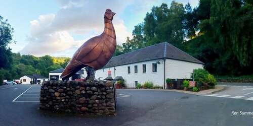 Whisky & Gin Distilleries