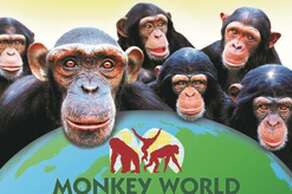 Monkey World