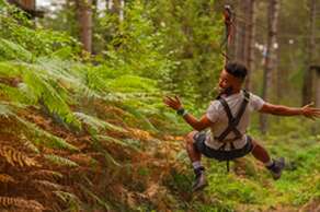 Moors Valley Country Park