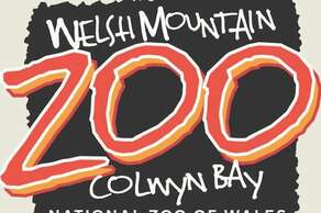 The Welsh Mountain Zoo