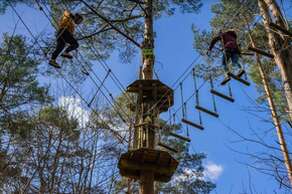 Go Ape Bedgebury