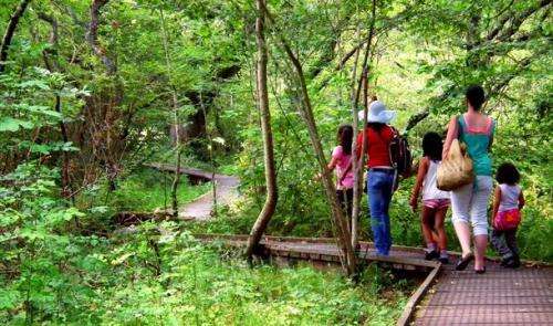 Our Beautiful Countryside - Activities