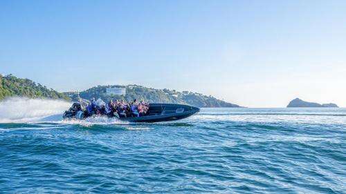 Our Stunning Coastline - Activities