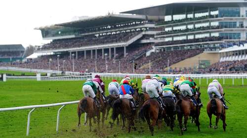 Cheltenham Races