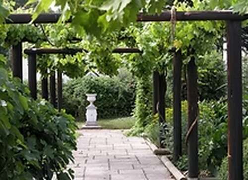 FISHBOURNE ROMAN PALACE AND GARDENS