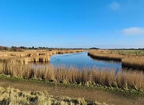 THORNEY ISLAND WALKING TRAIL