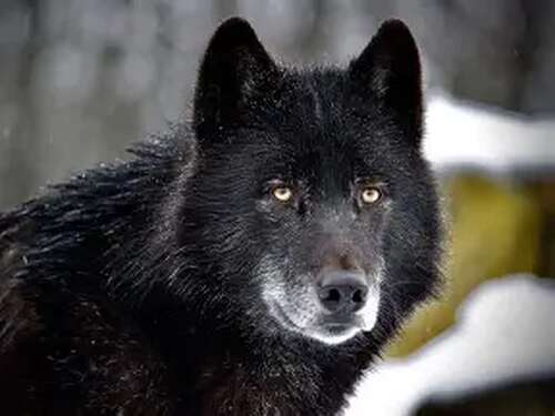 Other Attractions and activities