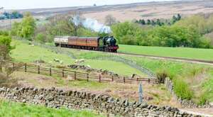 All Aboard for Family Fun