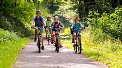 The Tarka Trail