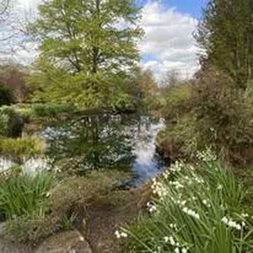 A Day Out Visiting Gardens