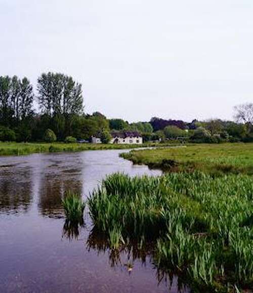 Chilbolton cow common