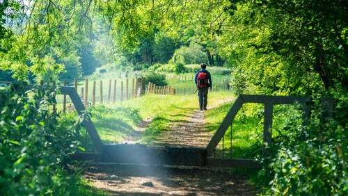 Wayfarers walk