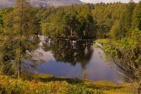 Tarn Hows: