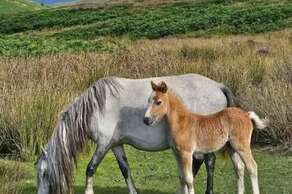The Long Mynd & Carding Mill Valley