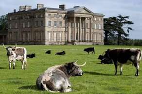 Attingham Park